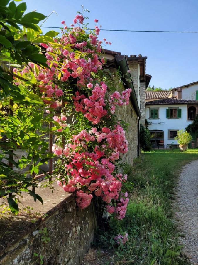 La Casa Nel Chianti Apartment Греве ин Кианти Екстериор снимка